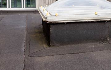 disadvantages of South Lanarkshire flat roofs